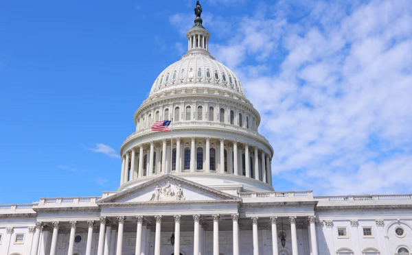 „ქართული ოცნების