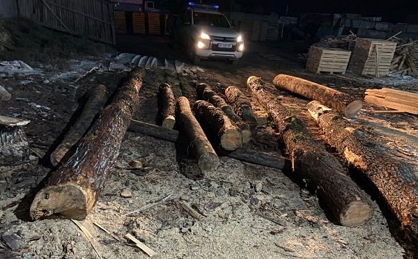 გარდაბნის მუნიციპალიტეტში ტყით უკანონო სარგებლობის ფაქტი გამოავლინეს