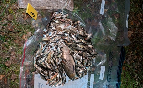 გარემოსდაცვითი ზედამხედველობის დეპარტამენტმა 2025 წელს უკანონო თევზჭერის 805 ფაქტი გამოავლინა