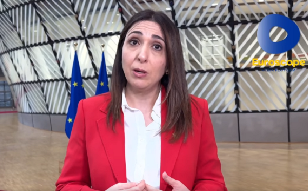 დემოკრატიული სტანდარტების, ფუნდამენტური უფლებებისა და თავისუფლებების პატივისცემა არის მთავარი წინაპირობა ჩვენი პარტნიორებისთვის, რომ ჰქონდეთ პროგრესი გაფართოების დღის წესრიგში, ამას ველით საქართველოს შემთხვევაშიც - მარილენა რაუნა