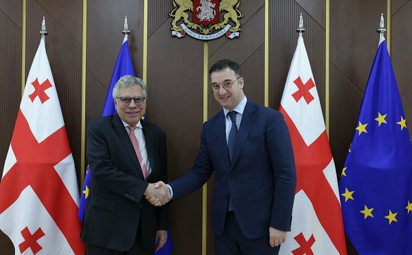 დავით სონღულაშვილი ბრაზილიის ფედერაციული რესპუბლიკის ელჩს შეხვდა