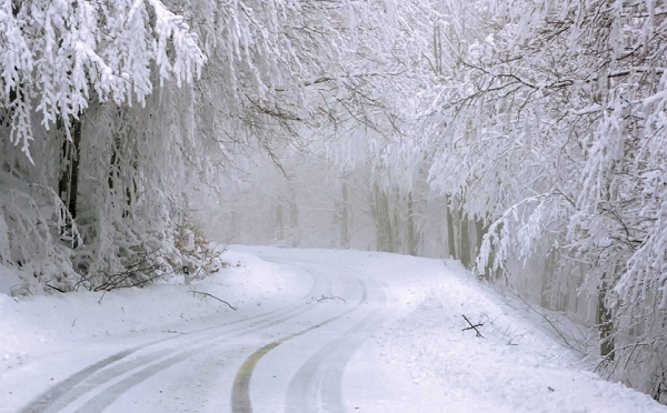 ვერონა-თელავის მონაკვეთზე ავტოტრანსპორტის მოძრაობის შეზღუდვა დაწესდა
