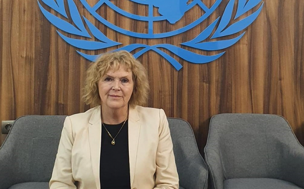 საქაართველომ სრულად უნდა უზრუნველყოს მშვიდობიანი შეკრების უფლება და თავი შეიკავოს მომიტინგეების წინააღმდეგ ძალის გადამეტებული გამოყენებისგან  - გაერო-ს სპეციალური მომხსენებელი მერი ლოულორი