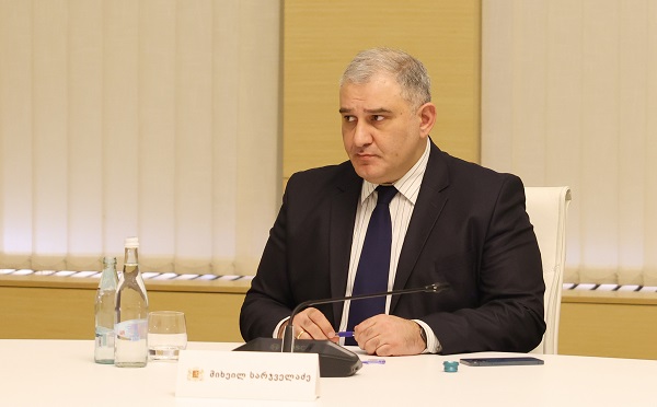 სამთავრობო კომისიის მთავარი ამოცანაა პროდუქტებზე ფასების იმგვარი რეგულირება, რომელიც ხელმისაწვდომობის მიმართულებით გააუმჯობესებს მოსახლეობის მდგომარეობას, გაზრდის ხელმისაწვდომობის ხარისხს - მიხეილ სარჯველაძე