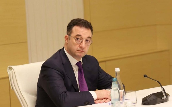 აპრილის ბოლომდე საზოგადოებისთვის ცნობილი გახდება ფასებთან დაკავშირებული სამთავრობო კომისიის საქმიანობის კონკრეტული შედეგები - დავით სონღულაშვილი