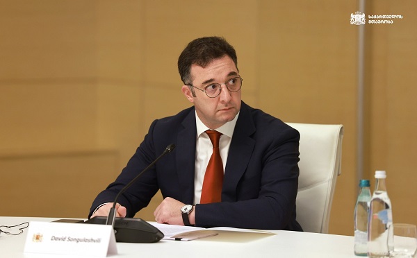 მყინვარების მასშტაბური კვლევის შედეგად გამოიკვეთა, რომ მყისიერი საფრთხე არ არსებობს, მნიშვნელოვანია - დავით სონღულაშვილი