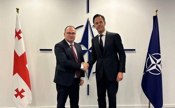 ირაკლი ბერაიამ მარკ რუტეს რწმუნებათა სიგელები გადასცა