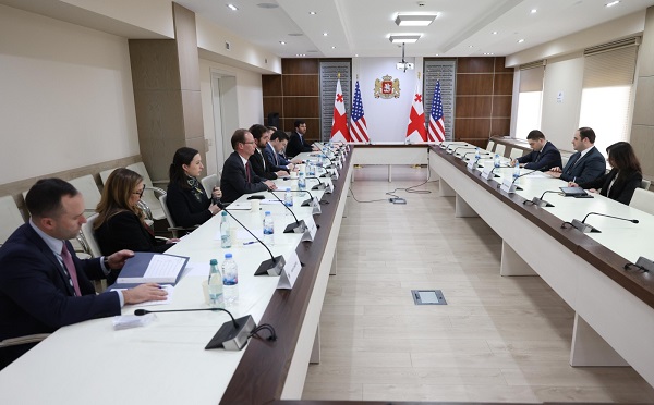 ლევან ჟორჟოლიანი ამერიკის შეერთებული შტატების კონგრესის საგარეო საქმეთა კომიტეტის წარმომადგენლებს შეხვდა