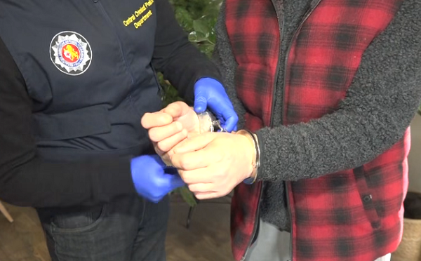 სამართალდამცველებმა განსაკუთრებით დიდი ოდენობით ნარკოტიკი ამოიღეს - დაკავებულია ერთი პირი