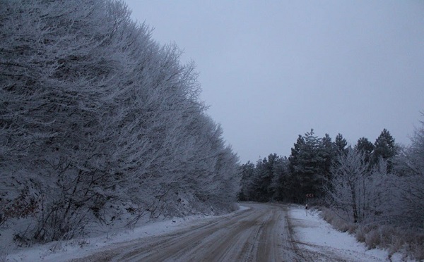 კოდა-სოფელი ალგეთის მონაკვეთზე მისაბმელიანი და ნახევრადმისაბმელიანი ავტოტრანსპორტის მოძრაობა აღდგა