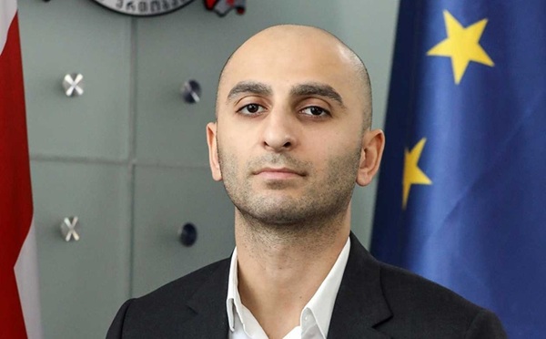 ჯანდაცვის მინისტრის ყოფილი მოადგილე, ილია ღუდუშაური დააკავეს - 