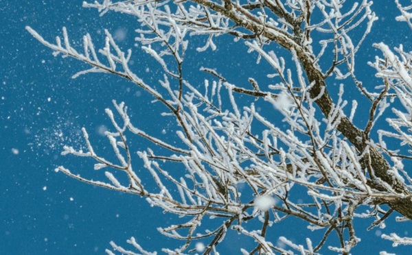 უახლოესი დღეების ამინდის პროგნოზი