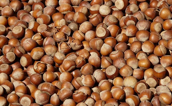 თხილის ექსპორტით  მიღებული შემოსავალი, წინა წლის ანალოგიურ პერიოდთან შედარებით, 71%- ით  გაიზარდა