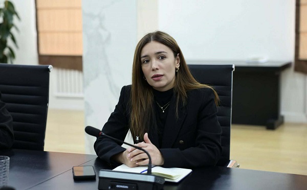 ყოველწლიურად იმატებს ავტომობილების იმპორტი, რაც საბოლოო ჯამში ნიშნავს, მეტ მავნე აირის გაფრქვევას და ჰაერის დაბინძურებას დიდ ქალაქებში - ნინო თანდილაშვილი