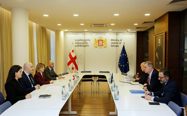 იუსტიციის მინისტრის მოადგილე მიგრაციის საერთაშორისო ორგანიზაციის რეგიონულ დირექტორს შეხვდა