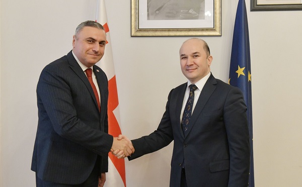 დავით მათიკაშვილი ტაჯიკეთის რესპუბლიკის ელჩს შეხვდა