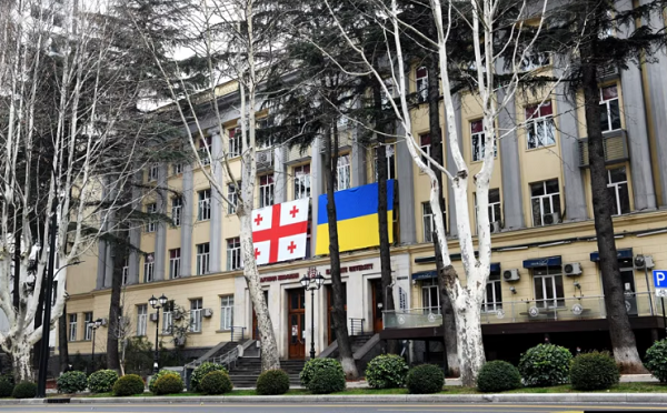 ევროპის სამეცნიერო ჩართულობის ასოციაცია შეშფოთებას გამოხატავს ილიას სახელმწიფო უნივერსიტეტთან დაკავშირებული ცვლილებების გამო - ილიაუნი