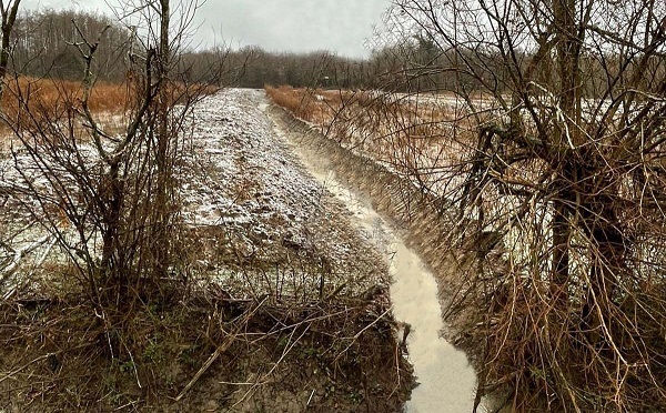 ლანჩხუთის მუნიციპალიტეტში დამშრობ მასივზე გაწმენდითი სამუშაოები მიმდინარეობს