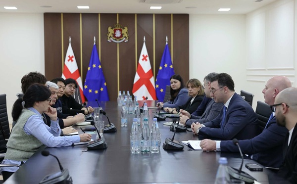 დავით სონღულაშვილი UNDP-ის წარმომადგენელს და კორეელ საერთაშორისო ექსპერტს შეხვდა