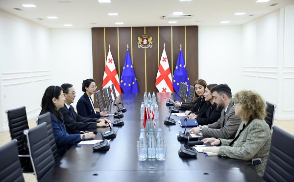 ნინო თანდილაშვილი ჩინეთის ელჩს შეხვდა