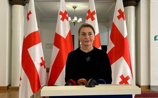 მოვუწოდებთ ირაკლი კობახიძეს, გაიწვიოს ეროვნული ინტერესების საწინააღმდეგო გადაწყვეტილება და სოხუმის სახელმწიფო უნივერსიტეტის სტატუსი შენარჩუნდეს იმ ფორმით, რაც დღეს აქვს - სოფო ხორგუანი