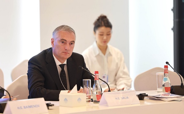 პაატა სალიამ დუბაიში მსოფლიო მთავრობათა სამიტზე მონაწილეობის შედეგები შეაჯამა