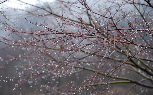 8 თებერვლიდან დასავლეთ საქართველოში ამინდი გაუარესდება