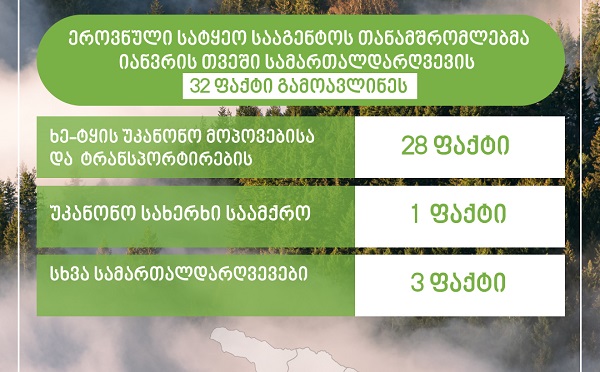 ეროვნული სატყეო სააგენტოს თანამშრომლებმა, მიმდინარე წლის იანვრის თვეში სამართალდარღვევის 32 ფაქტი გამოავლინეს