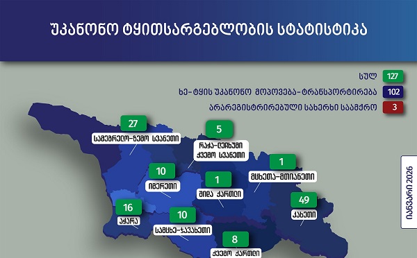 2026 წლის იანვარში უკანონო ტყითსარგებლობის 127 ფაქტი გამოვლინდა