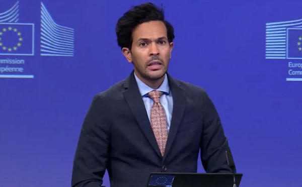 საქართველოს ხელისუფლება უნდა დაუბრუნდეს დემოკრატიულ გზას, სანქციების თვალსაზრისით, ჩვენ თანმიმდევრულები ვართ რეაგირებაში და ყველა ვარიანტი კვლავ მაგიდაზეა - ევროკავშირის პრესსპიკერი