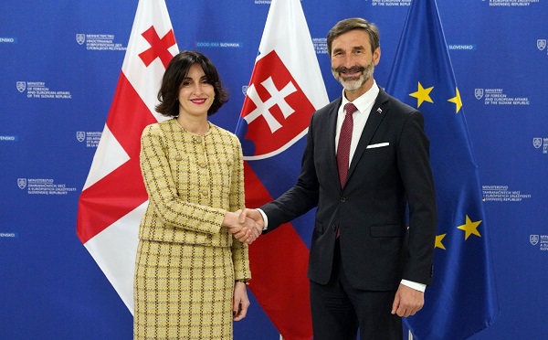 მაკა ბოჭორიშვილი სლოვაკეთის საგარეო და ევროპულ საქმეთა მინისტრს, იურაი ბლანარს შეხვდა