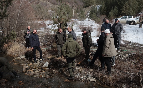 მდინარე ტანას შენაკადები „წითელი ნუსხის“ სახეობის ნაკადულის კალმახის 20 000 ქვირითით დათევზიანდა
