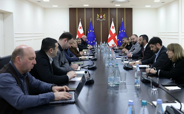 სატყეო სექტორის რეფორმის ფარგლებში მომზადებულ ტყის კოდექსში შესატან ცვლილებებზე საჯარო განხილვა გაიმართა