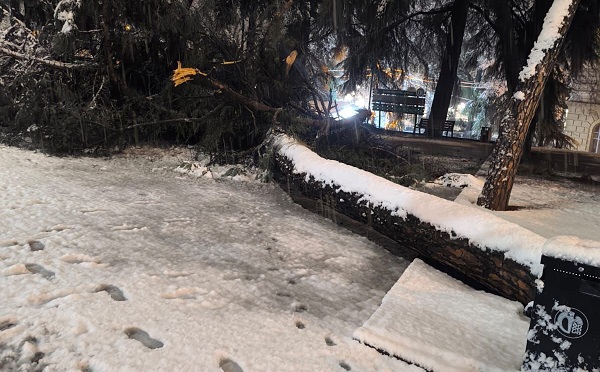 უხვი ნალექი თბილისში - წაქცეულია ელექტროგადამცემი ანძები, ხეების წაქცევის შედეგად დაზიანებულია გარე განათების ბოძები, ავტომანქანები, ჩაიხერგა გზები