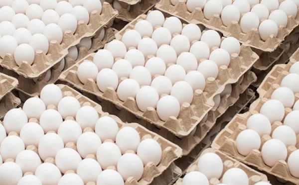 კვერცხზე ფასი 5%-ით შემცირდება - მეფრინველეობის განვითარების ასოციაცია