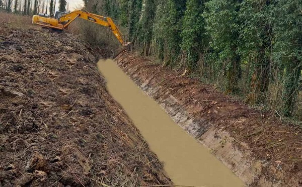 სოფელ გურიფულში, ხობი-უტორას დამშრობ მასივზე  შემკრები არხები იწმინდება