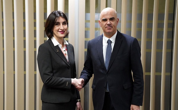 მაკა ბოჭორიშვილი ევროპის საბჭოს გენერალურ მდივანს, ალენ ბერსეს შეხვდა