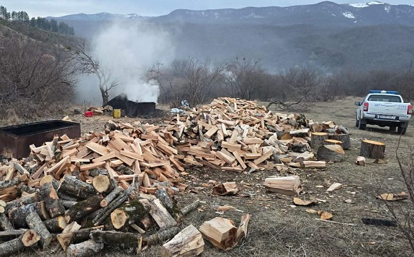 მცხეთა-მთიანეთში უნებართვო სანახშირეები გამოავლინეს