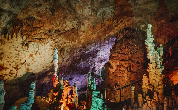 1 აპრილიდან დაცული ტერიტორიების სააგენტო ვიზიტორებს კომბინირებული (