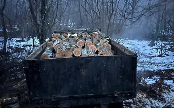 კახეთში, ქვემო ქართლში, შიდა ქართლში, მცხეთა-მთიანეთში, იმერეთსა და სამეგრელო-ზემო სვანეთში ხე-ტყის უკანონო მოპოვება-ტრანსპორტირების 19 ფაქტი გამოვლინდა