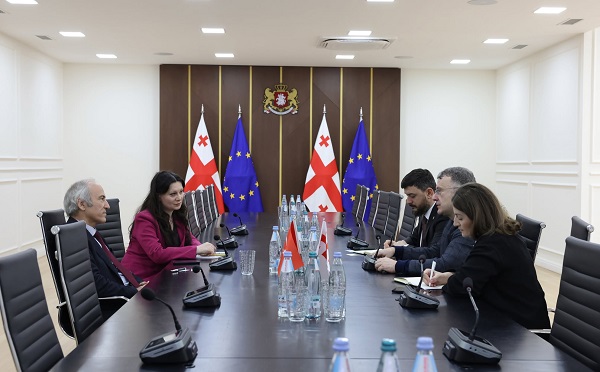 ლაშა დოლიძე თურქეთის თანამშრომლობისა და კოორდინაციის სააგენტოს ოფისის კოორდინატორს სალიჰ ოზერს შეხვდა