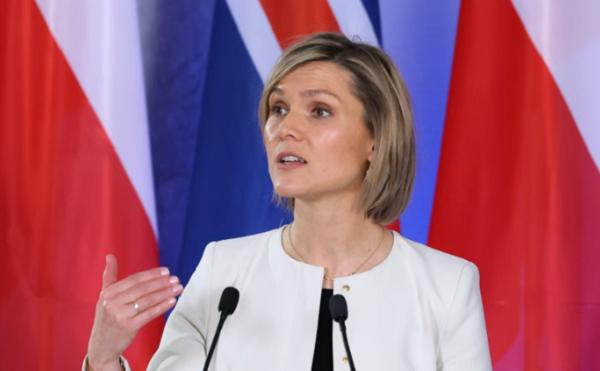 ისლანდია ევროკავშირში გაწევრიანების მოლაპარაკებების დაწყებასთან დაკავშირებით რეფერენდუმს უახლოეს თვეებში ჩაატარებს - ისლანდიის პრემიერი