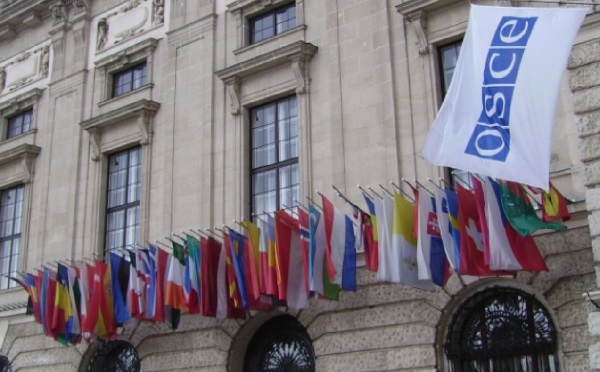 საია-მ ეუთო-ს ადამიანური განზომილების მექანიზმს საქართველოში ადამიანის უფლებებისა და სამართლის უზენაესობის მდგომარეობის შესახებ ინფორმაცია წარუდგინა