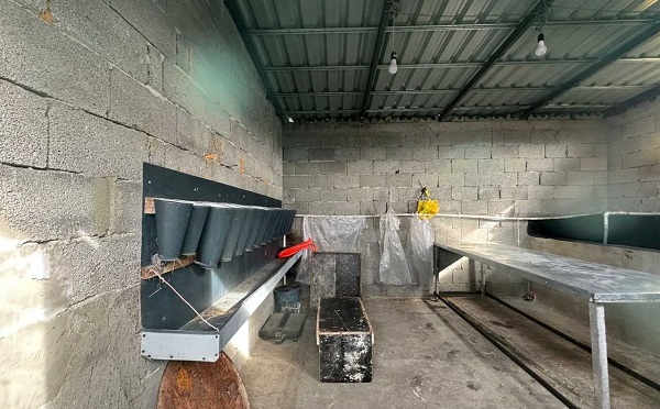 სურსათის ეროვნული სააგენტო - შიდა ქართლში არალეგალური სასაკლაოები და კვერცხის საწარმო გამოვლინდა