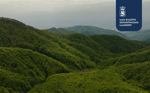 კვერეთის აღკვეთილში, 14 779 ჰა ფართობზე, საზღვრების სადემარკაციო სამუშაოები მიმდინარეობს