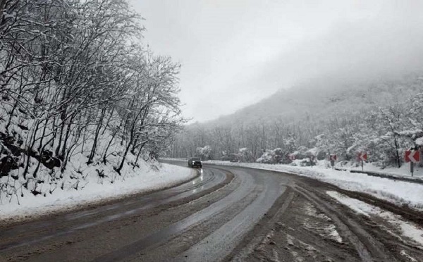 გომი-საჩხერე-ჭიათურა-ზესტაფონის გზაზე მისაბმელიანი და ნახევრადმისაბმელიანი ავტოტრანსპორტის მოძრაობა აღდგა