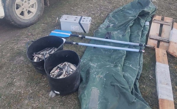 შიდა ქართლში ბრაკონიერობის ფაქტი გამოვლინდა