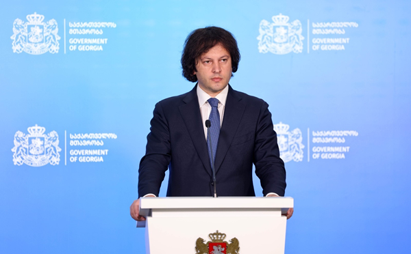 გერმანიის ელჩის მდგომარეობა არის ტრაგიკული - ირაკლი კობახიძე