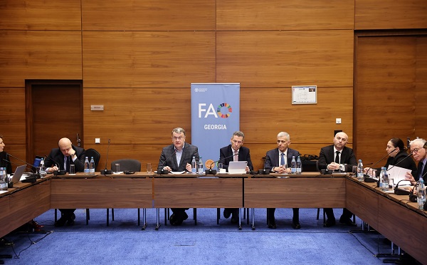 ქვეყნის პროგრამული ჩარჩო სრულ შესაბამისობაშია სამინისტროს პრიორიტეტებთან და ქმნის სამომავლო ეფექტიანი თანამშრომლობის მყარ საფუძველს - ლაშა დოლიძე