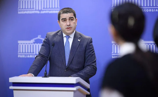 პეტერ ფიშერმა გერმანიასა და საქართველოს შორის 30-წლიანი პარტნიორობა სამ წელიწადში დაანგრია - შალვა პაპუაშვილი